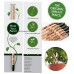 Sprout Pencil 萌芽鉛筆 種子木彩色鉛筆 單支裝